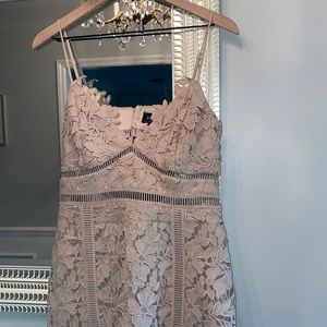 Bardot Botanica Lace Dress